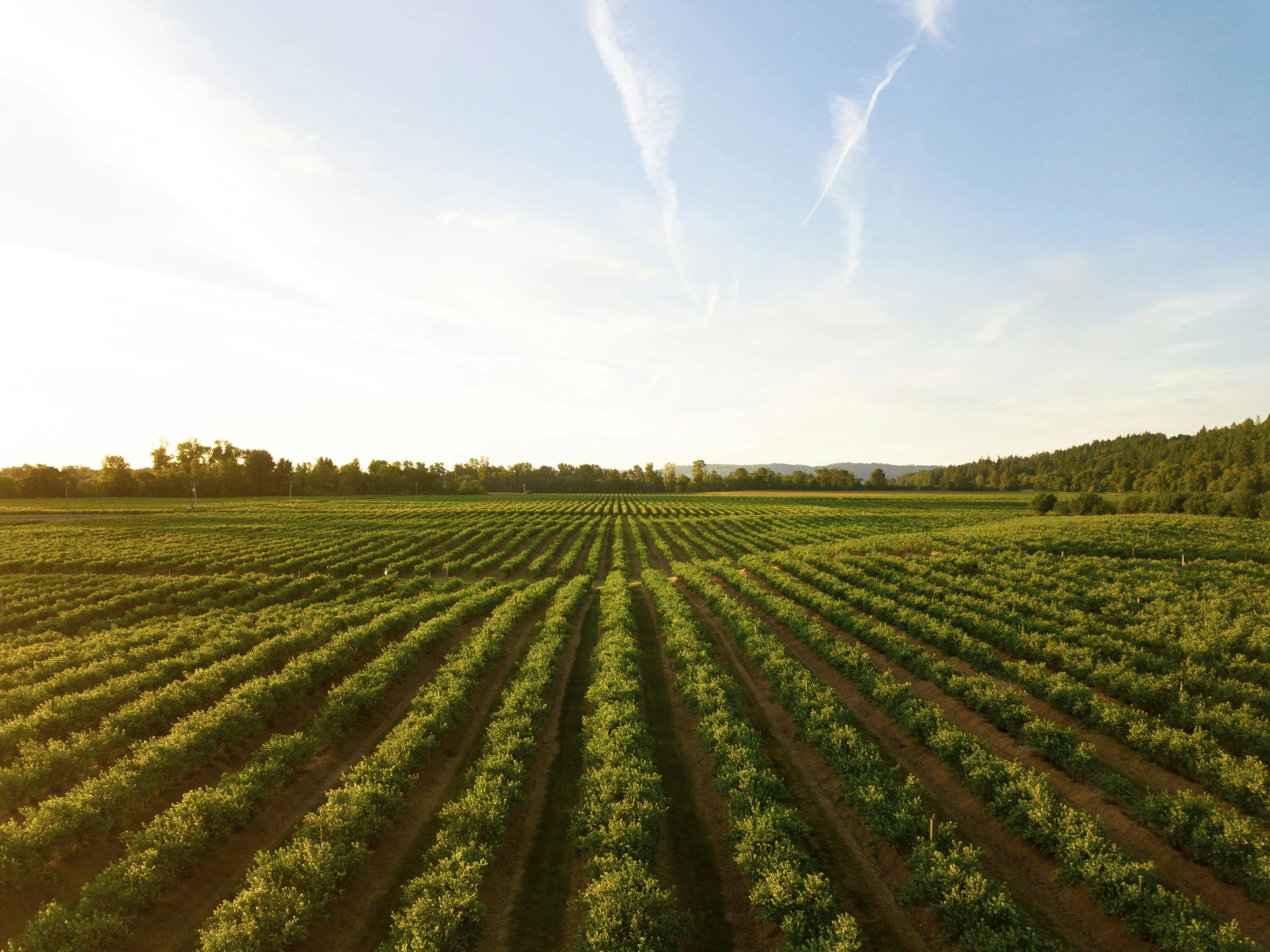 A deep dive into onboarding for seasonal agriculture workers