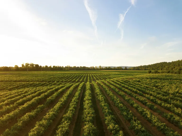 Farming organisations often have a revolving door of seasonal staff that must be trained, compliant and ready to start work.