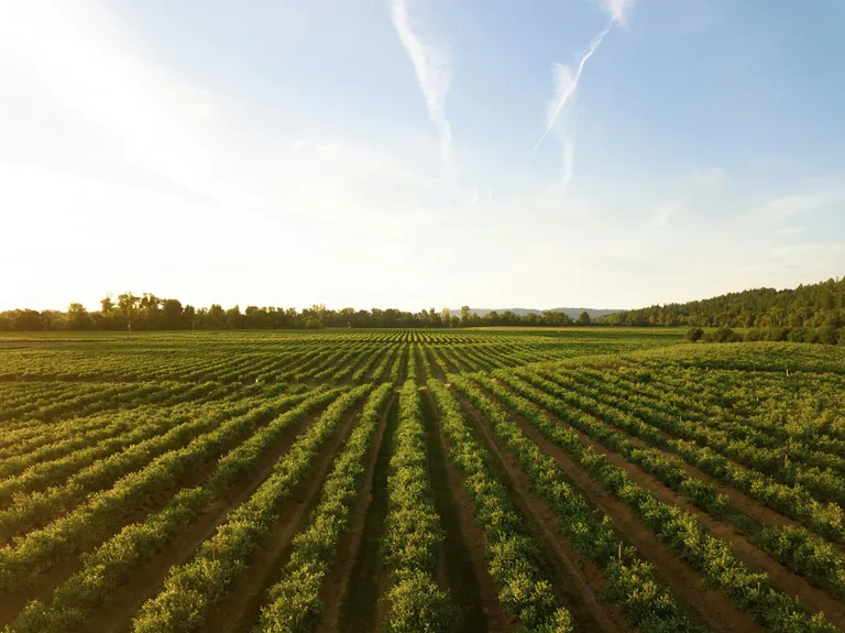 Farming organisations often have a revolving door of seasonal staff that must be trained, compliant and ready to start work.