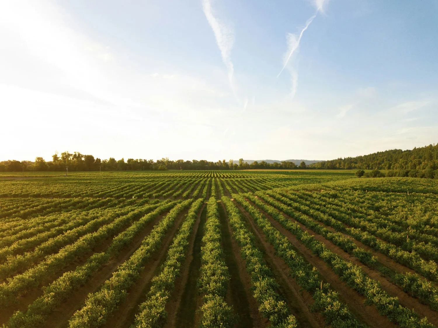A deep dive into onboarding for seasonal agriculture workers