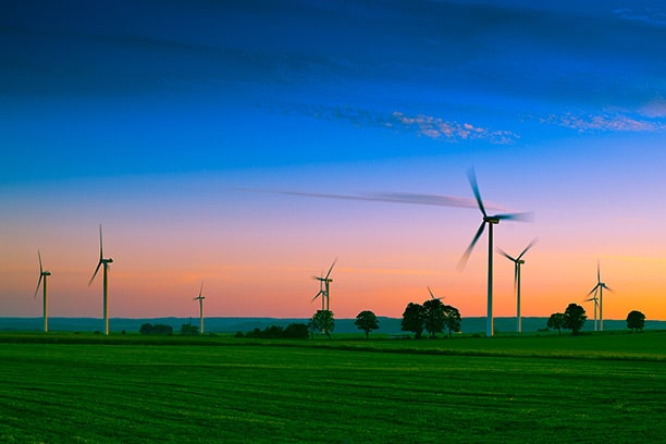 wind turbines in a field at sunset